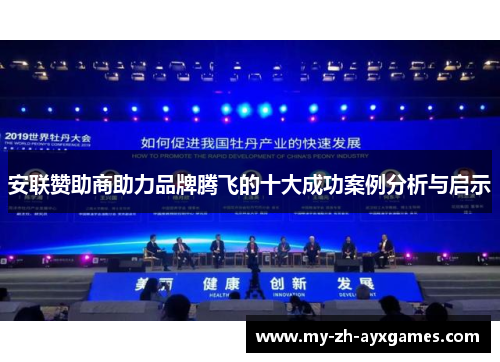 安联赞助商助力品牌腾飞的十大成功案例分析与启示