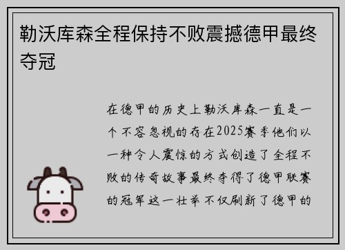 勒沃库森全程保持不败震撼德甲最终夺冠 勒沃库森全程保持不败震撼德甲最终夺冠