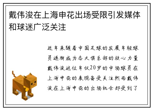 戴伟浚在上海申花出场受限引发媒体和球迷广泛关注